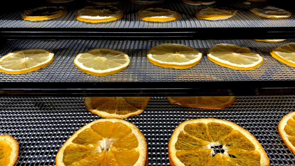 Read more about the article PROFESSIONAL DEHYDRATORS