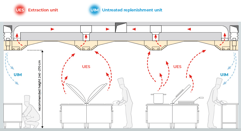 Exhaust Systems